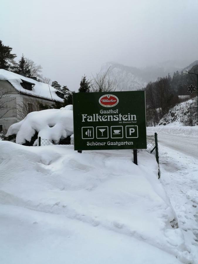 Gasthof Zum Falkenstein Hotel Schwarzau im Gebirge Bagian luar foto