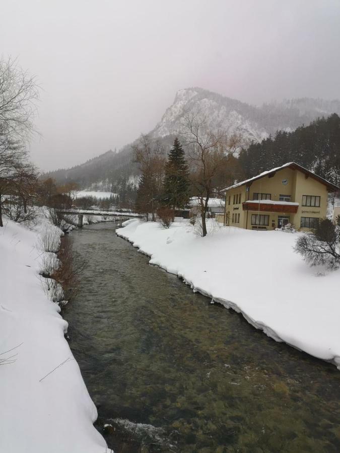 Gasthof Zum Falkenstein Hotel Schwarzau im Gebirge Bagian luar foto